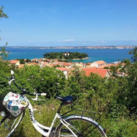 Beachfront Summer Oasis