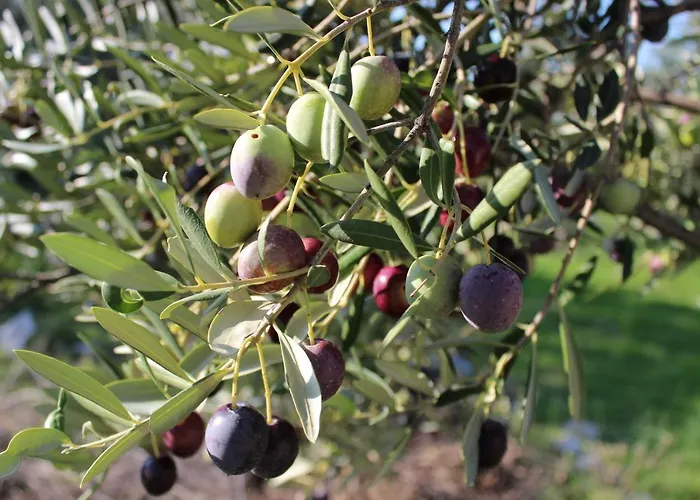 Appartamento Beachfront Summer Oasis