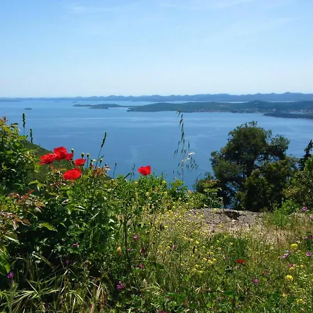 Beachfront Summer Oasis Preko